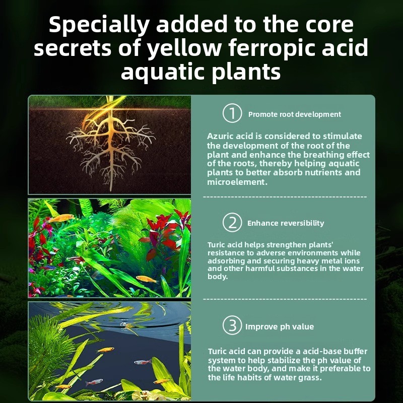 Aquarium Plant Fertilizer - Co - Planted Aquarium Carpet Plant recensione e prezzo