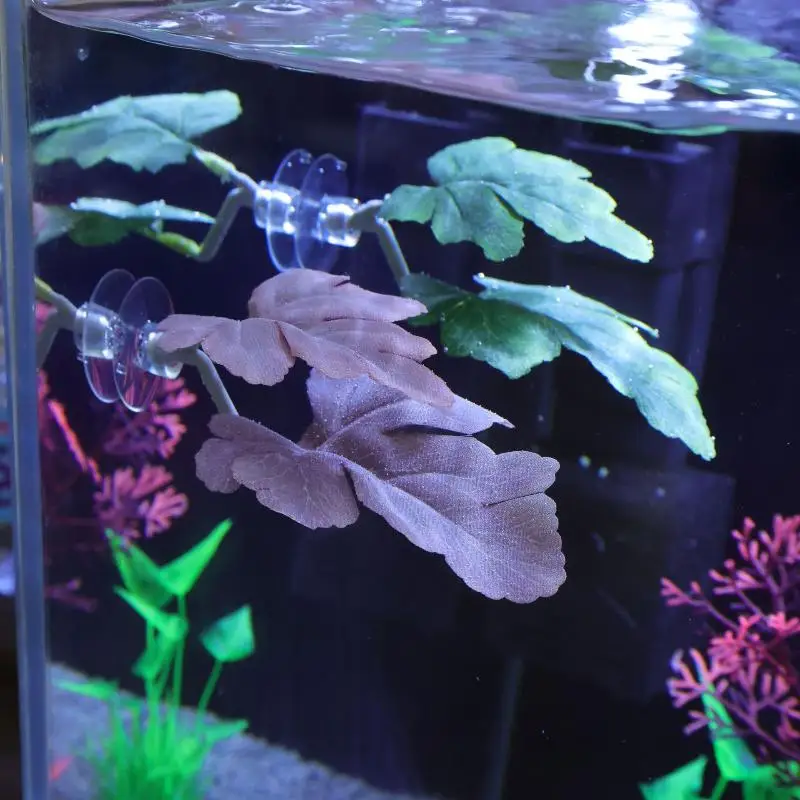 Betta Fish Leaf Hammock Aquari - Planted Aquarium Betta recensione e prezzo