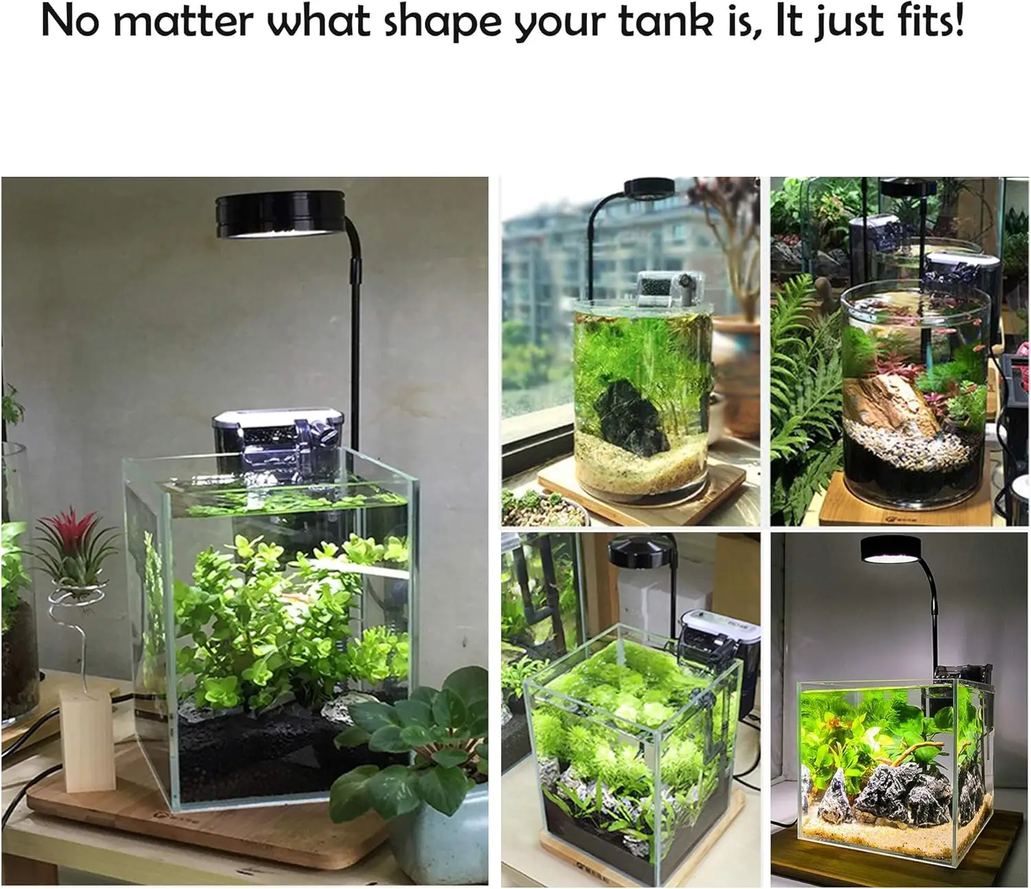 LED Aquarium Grow Light with B - Planted Aquarium Betta recensione e prezzo