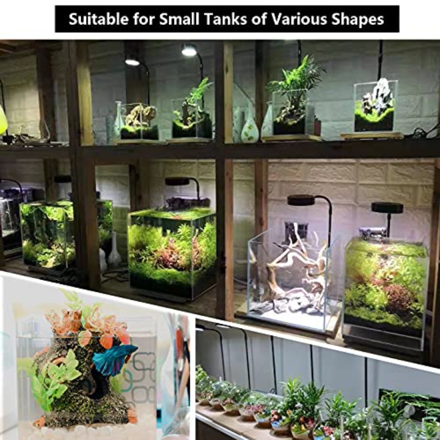 Aquarium Light Full Spectrum L - Planted Aquarium Betta recensione e prezzo
