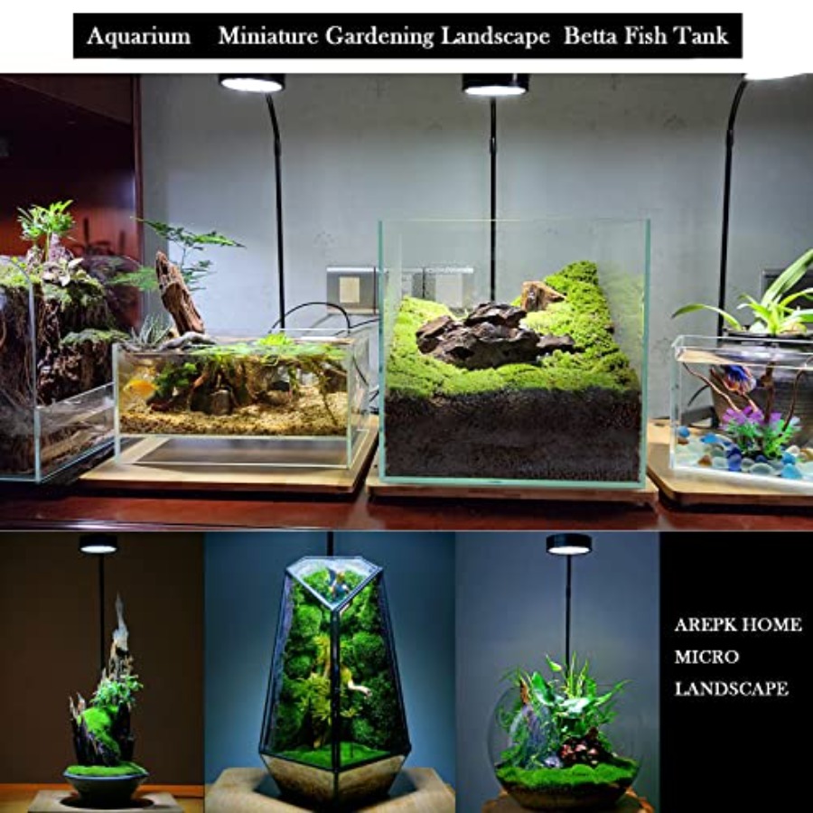 Aquarium Light Full Spectrum L - Planted Aquarium Betta recensione e prezzo