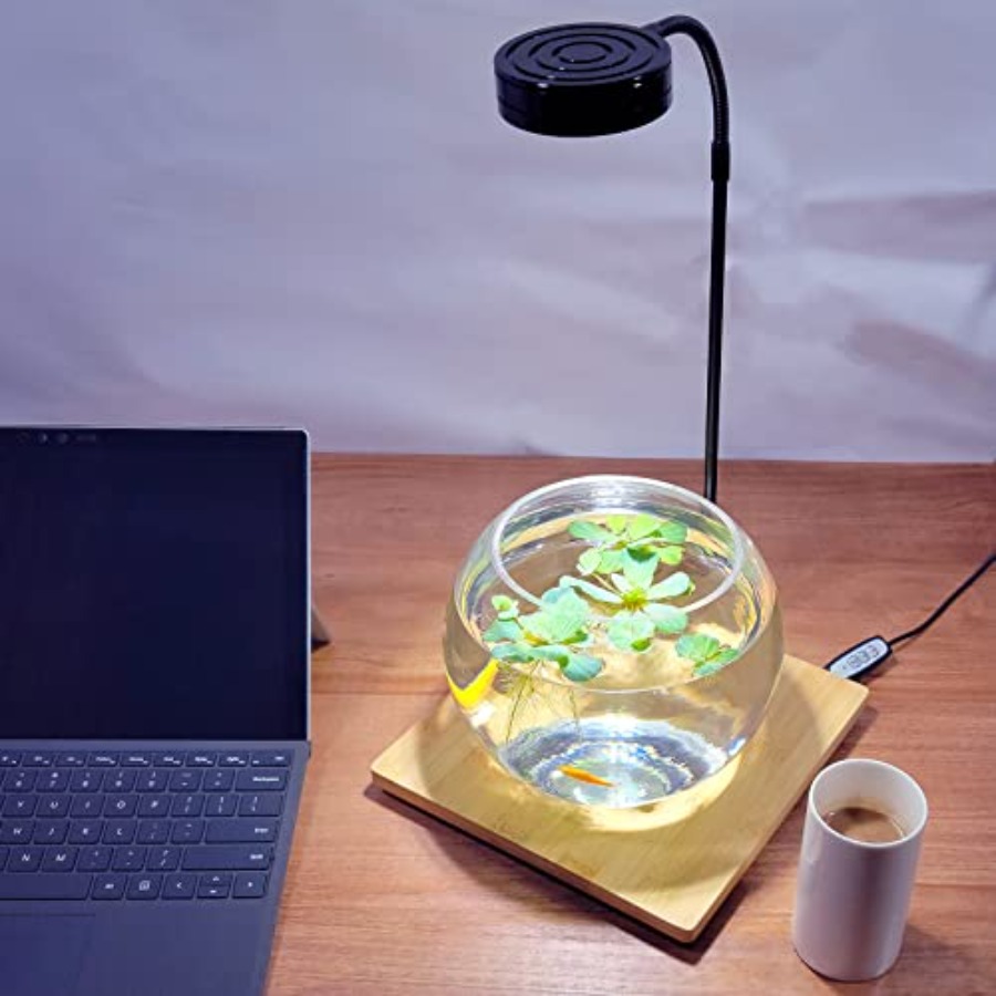 Aquarium Light Full Spectrum L - Planted Aquarium Betta recensione e prezzo