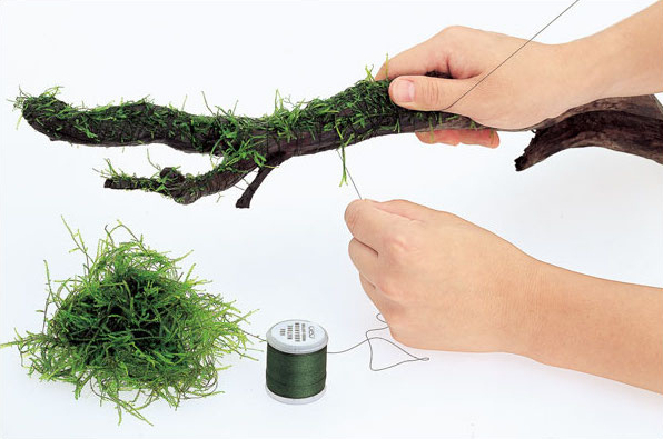 Degradable Aquarium Driftwood  - Aquarium Plant Echinodorus recensione e prezzo