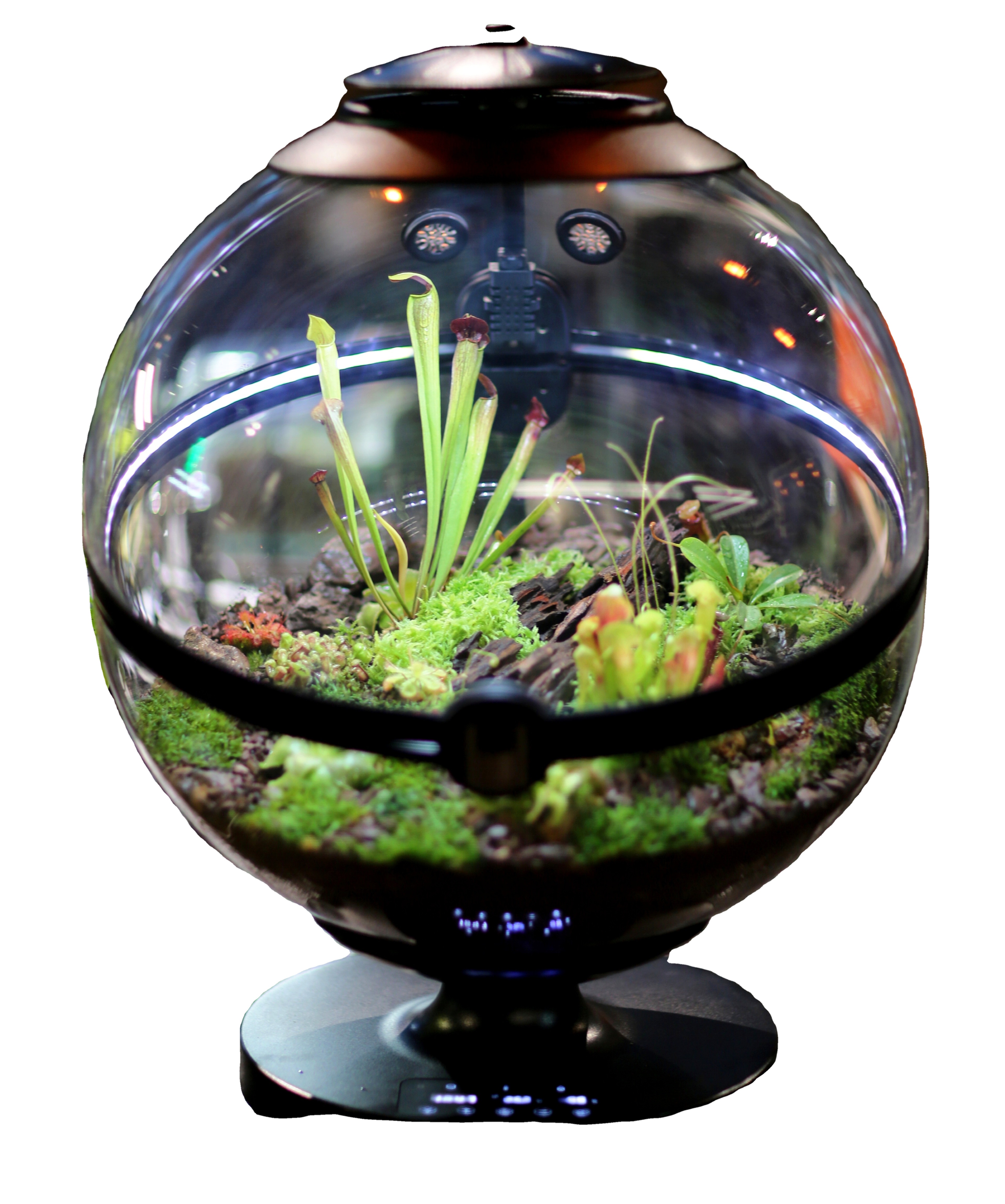Hot Sales Acrylic Material  Ba - Planted Aquarium Materials recensione e prezzo