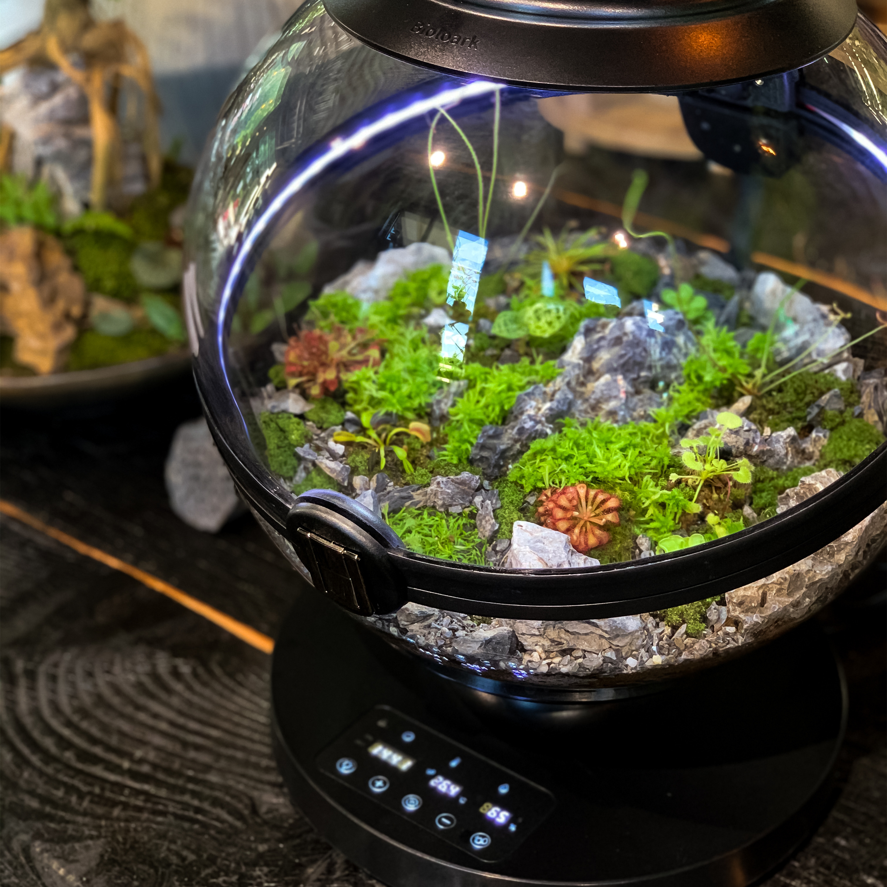 Hot Sales Acrylic Material  Ba - Planted Aquarium Materials recensione e prezzo
