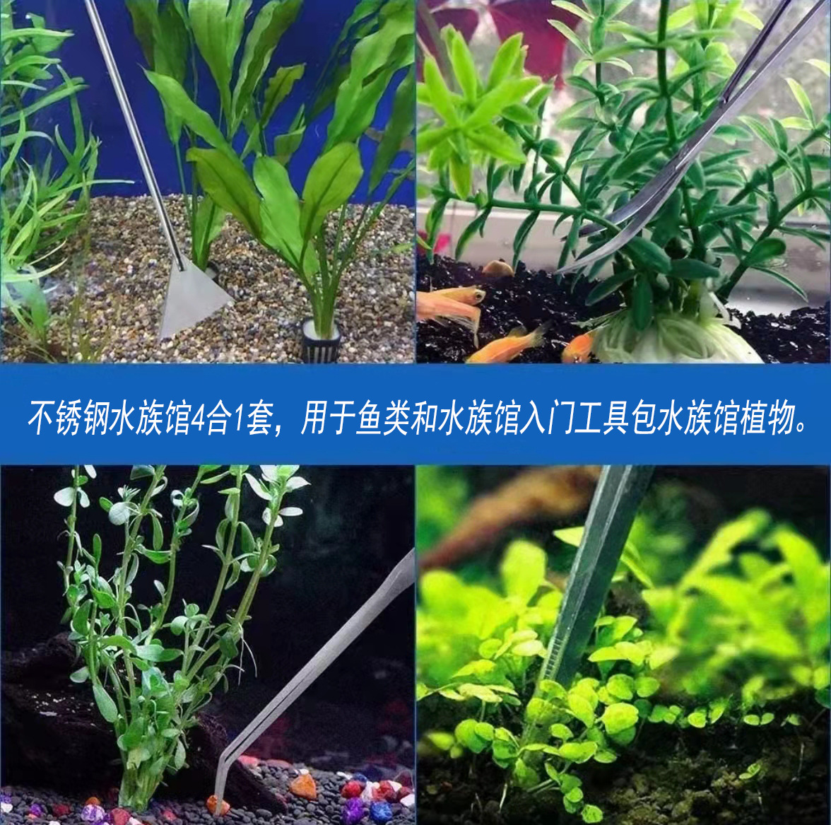 48cm Stainless Steel Aquarium  - Aquarium Plant Utensils recensione e prezzo