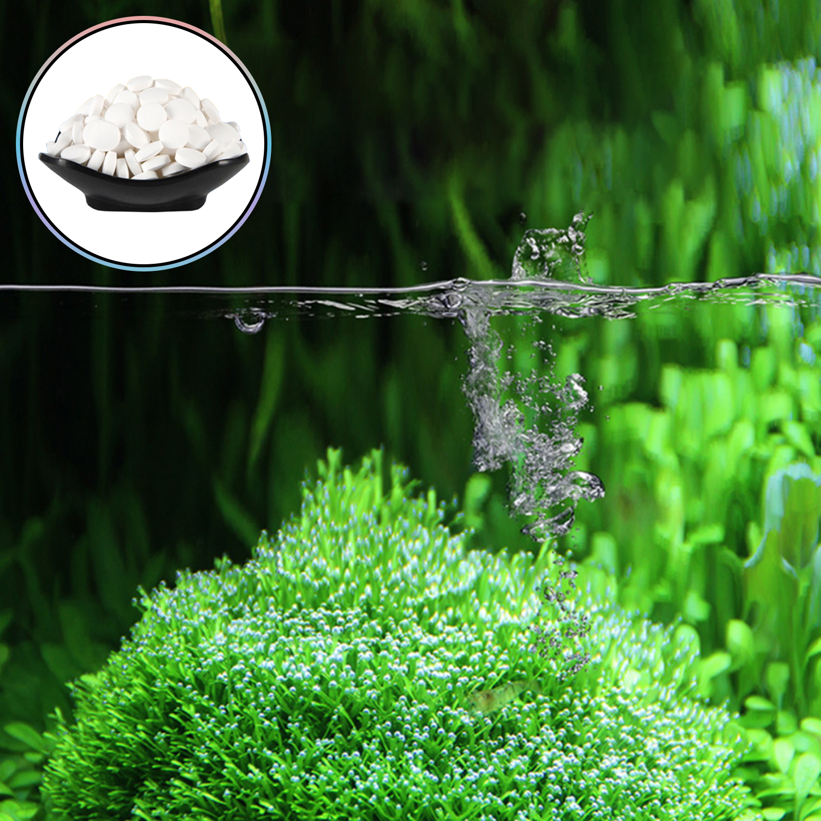 Algae Removal Tablets For Fish - Planted Aquarium Hair Algae recensione e prezzo