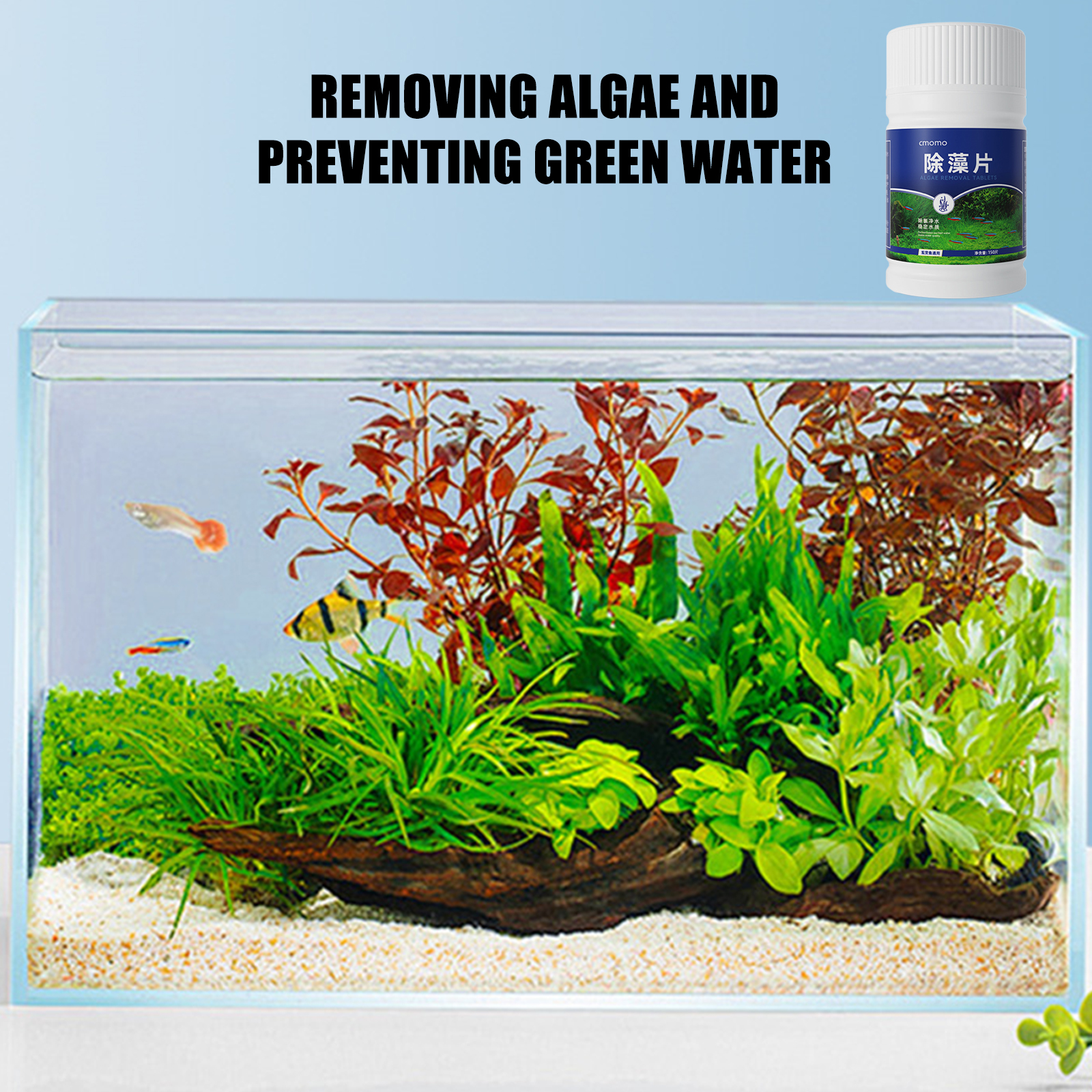 Algae Removal Tablets For Fish - Planted Aquarium Hair Algae recensione e prezzo