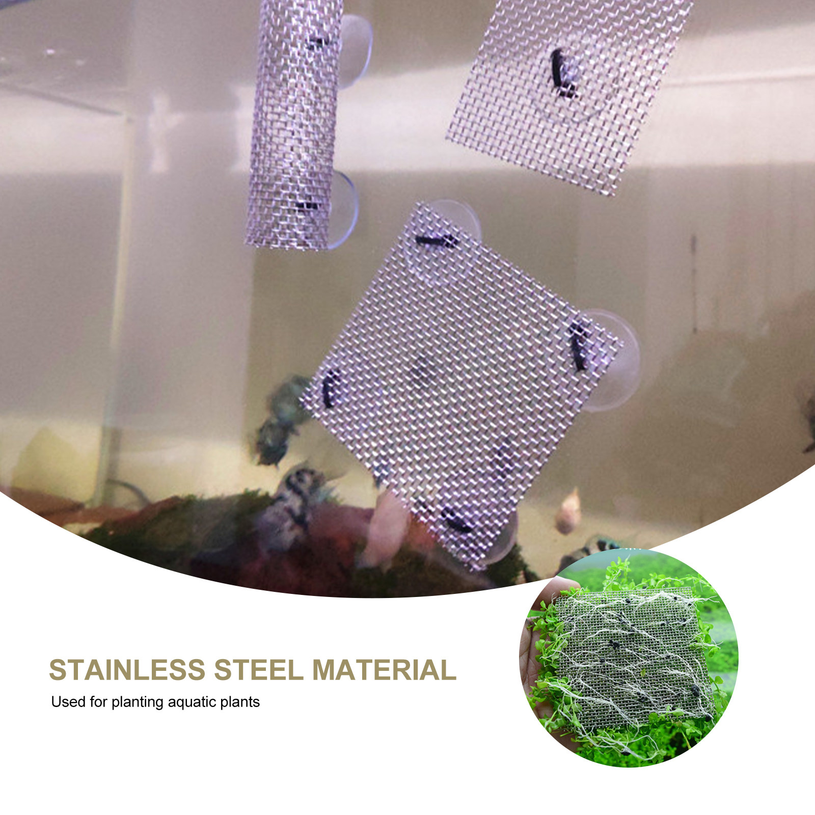 15Pcs Stainless Steel Moss Wal - Planted Aquarium Carpet Plant recensione e prezzo