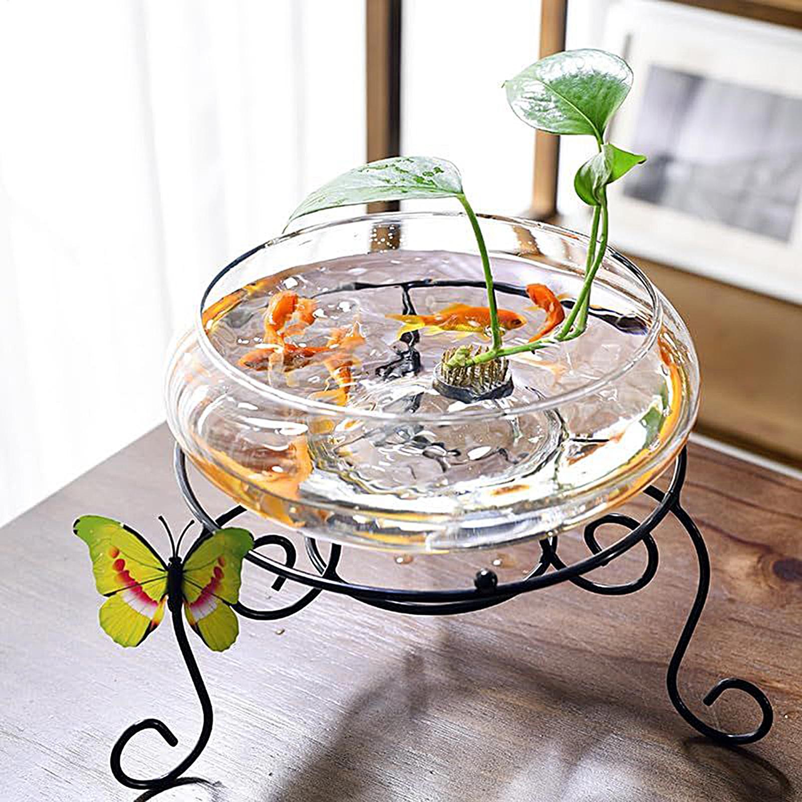 Fish Glass Bowl Glass Large Hy - Aquarium Plant Original recensione e prezzo