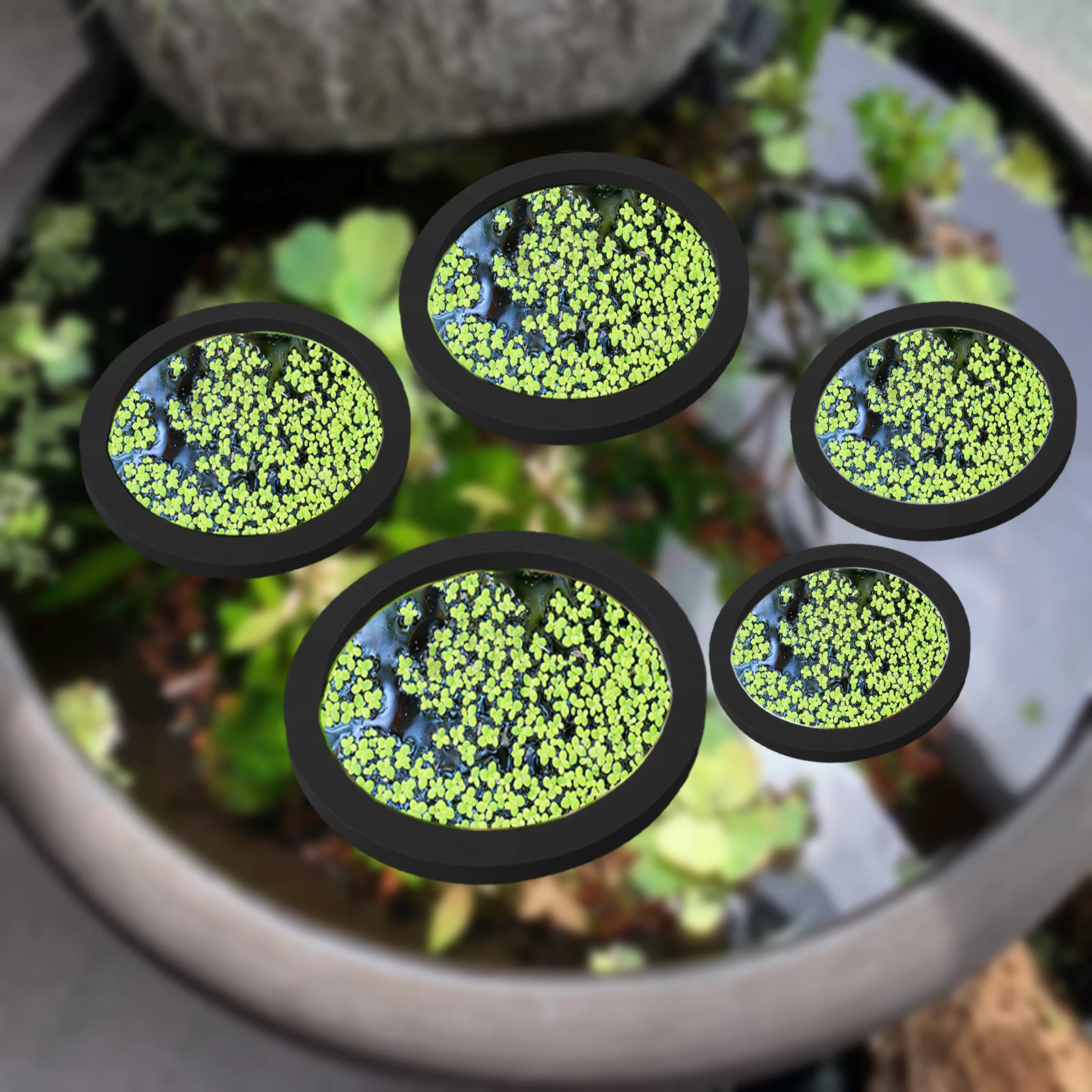 5Pcs EVA Fish Feeding Ring Aqu - Aquarium Plant Original recensione e prezzo