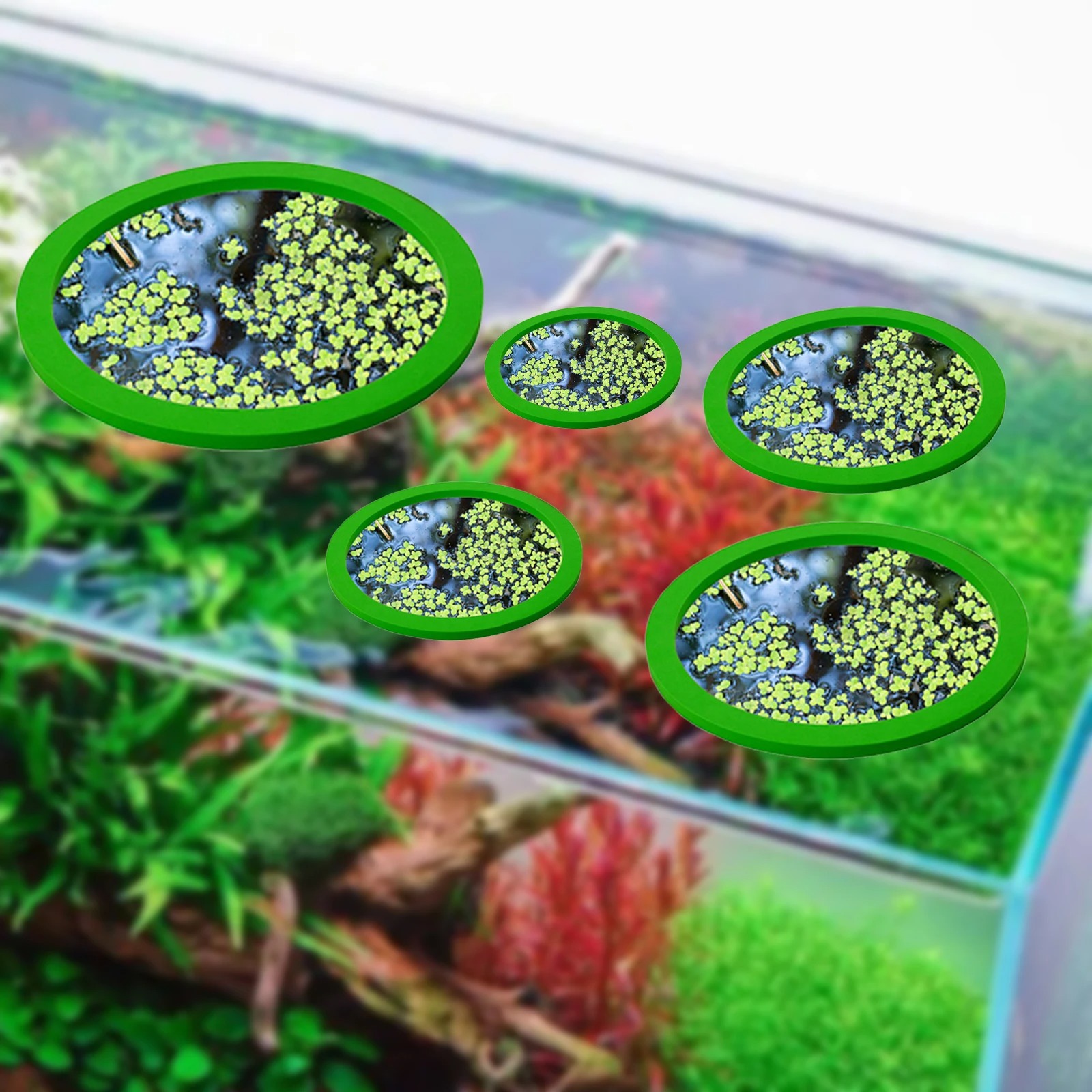 5Pcs EVA Fish Feeding Ring Aqu - Aquarium Plant Original recensione e prezzo