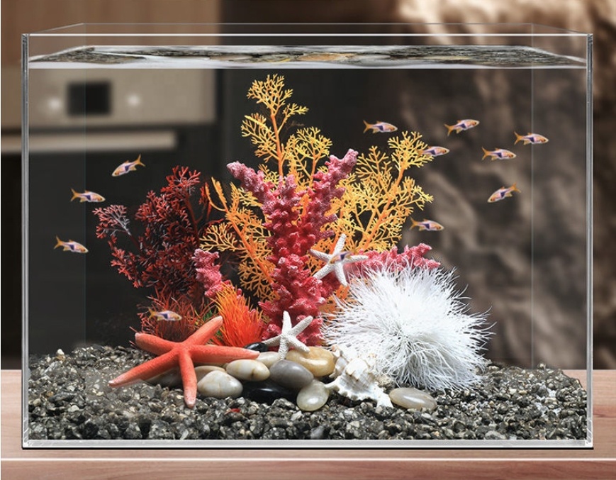 Hot Sale Aquarium Aquascape Co - Planted Aquarium For Sale recensione e prezzo