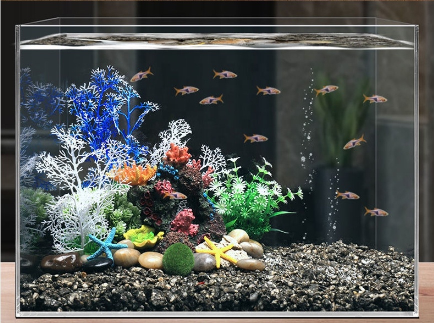 Hot Sale Aquarium Aquascape Co - Planted Aquarium For Sale recensione e prezzo