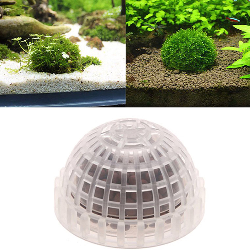 .1Pc Aquatic Pet Supplies Deco - Aquarium Plant Echinodorus recensione e prezzo