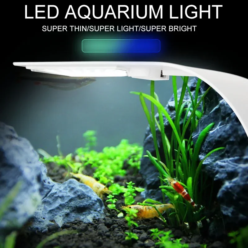 Super Slim LED Aquarium Light  - Planted Aquarium Pictures recensione e prezzo