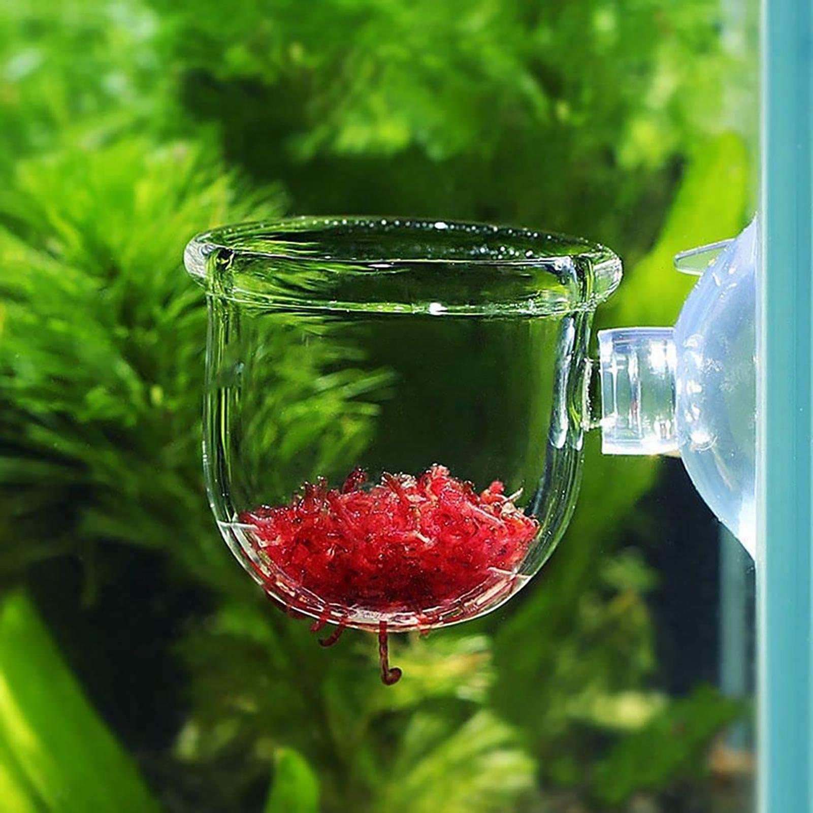 Plant Holder for Fish Tank Cle - Aquarium Plant Utensils recensione e prezzo
