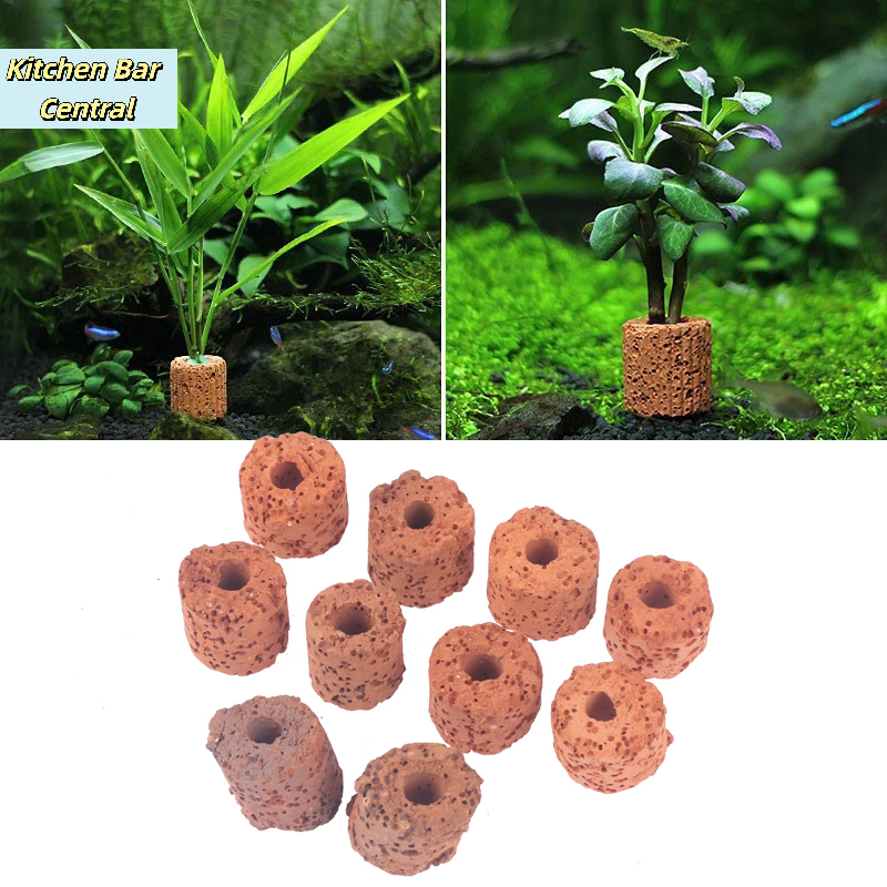 【10Pcs Plant Ring Aquarium Fix - Aquarium Plant Utensils recensione e prezzo
