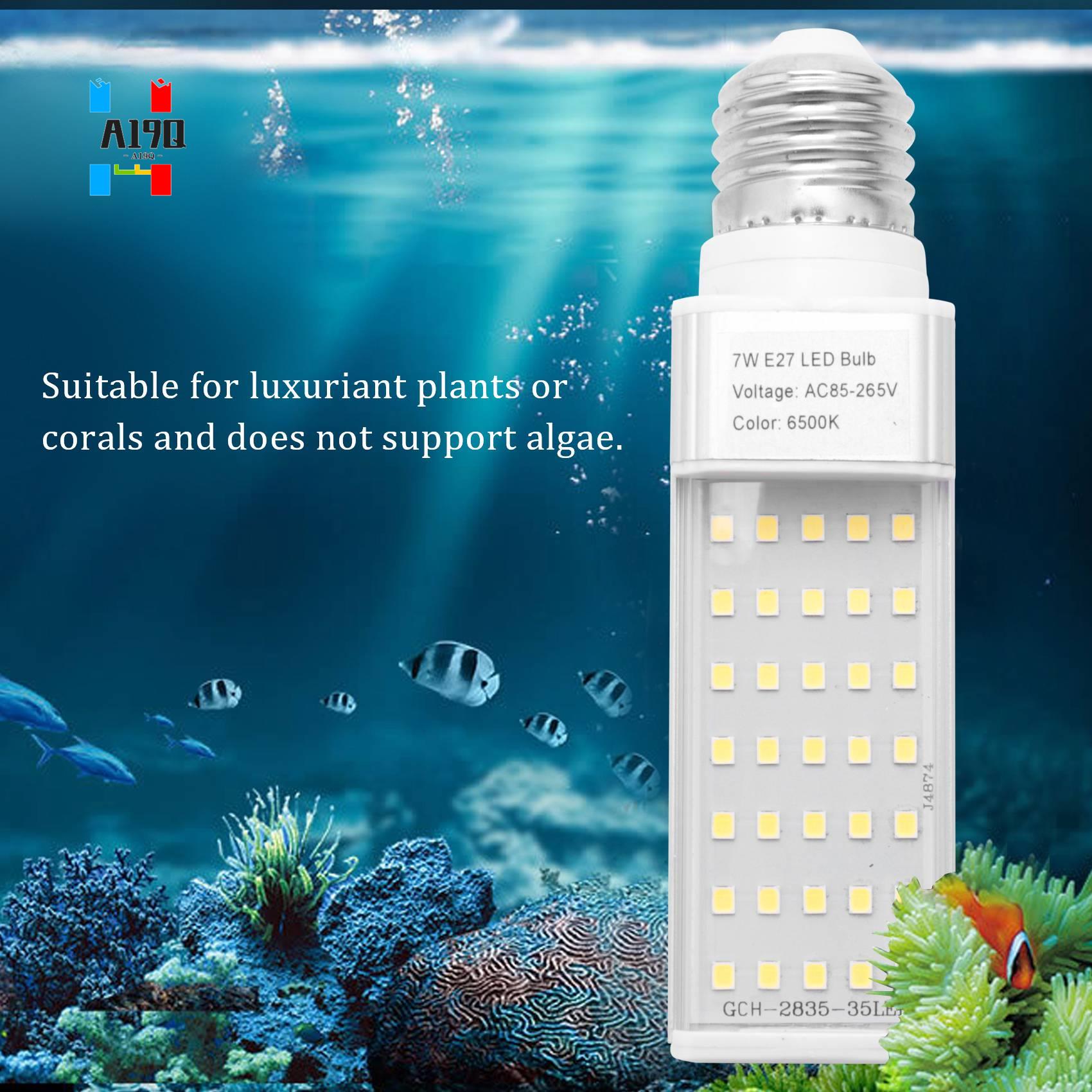 A19Q-Fishpod White Plant Aquar - Planted Aquarium Materials recensione e prezzo