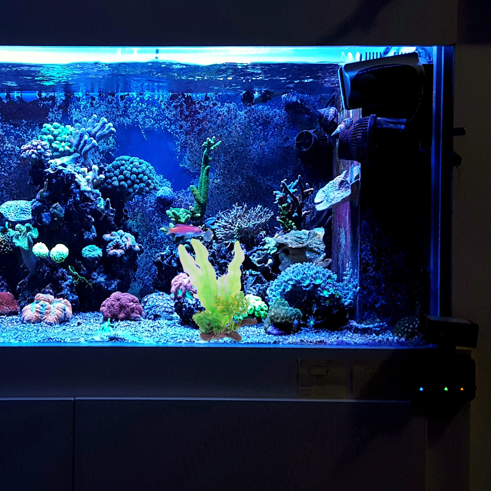 Premium Lifelike Artificial Aq - Planted Aquarium Materials recensione e prezzo