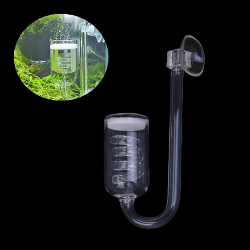 Fish Tank Aquarium Plant CO2 S - Aquarium Plant Echinodorus recensione e prezzo