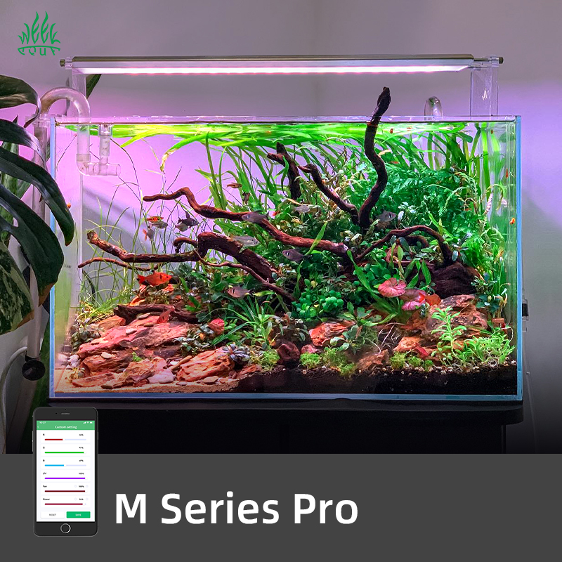 ZXY Hot Sales WEEK AQUA M1200P - Planted Aquarium For Sale recensione e prezzo