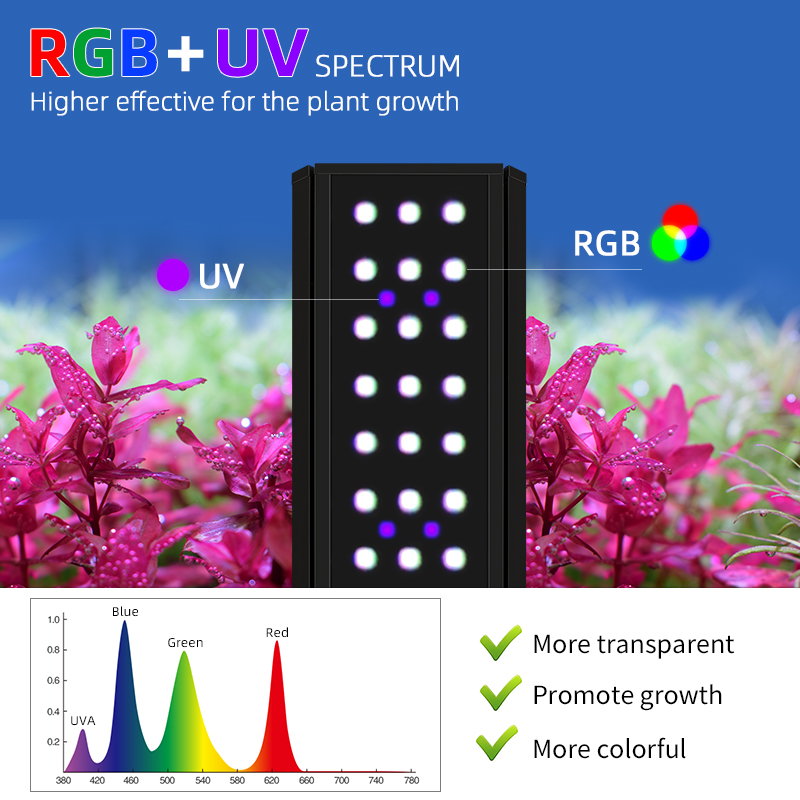 ZXY Hot Sales WEEK AQUA M1200P - Planted Aquarium For Sale recensione e prezzo
