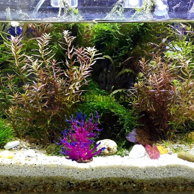 Artificial Water Plant Aquariu - Planted Aquarium For Sale recensione e prezzo