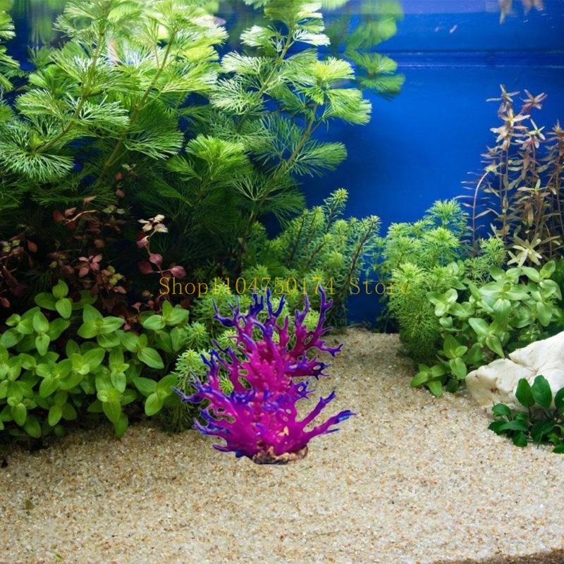 Artificial Water Plant Aquariu - Planted Aquarium For Sale recensione e prezzo