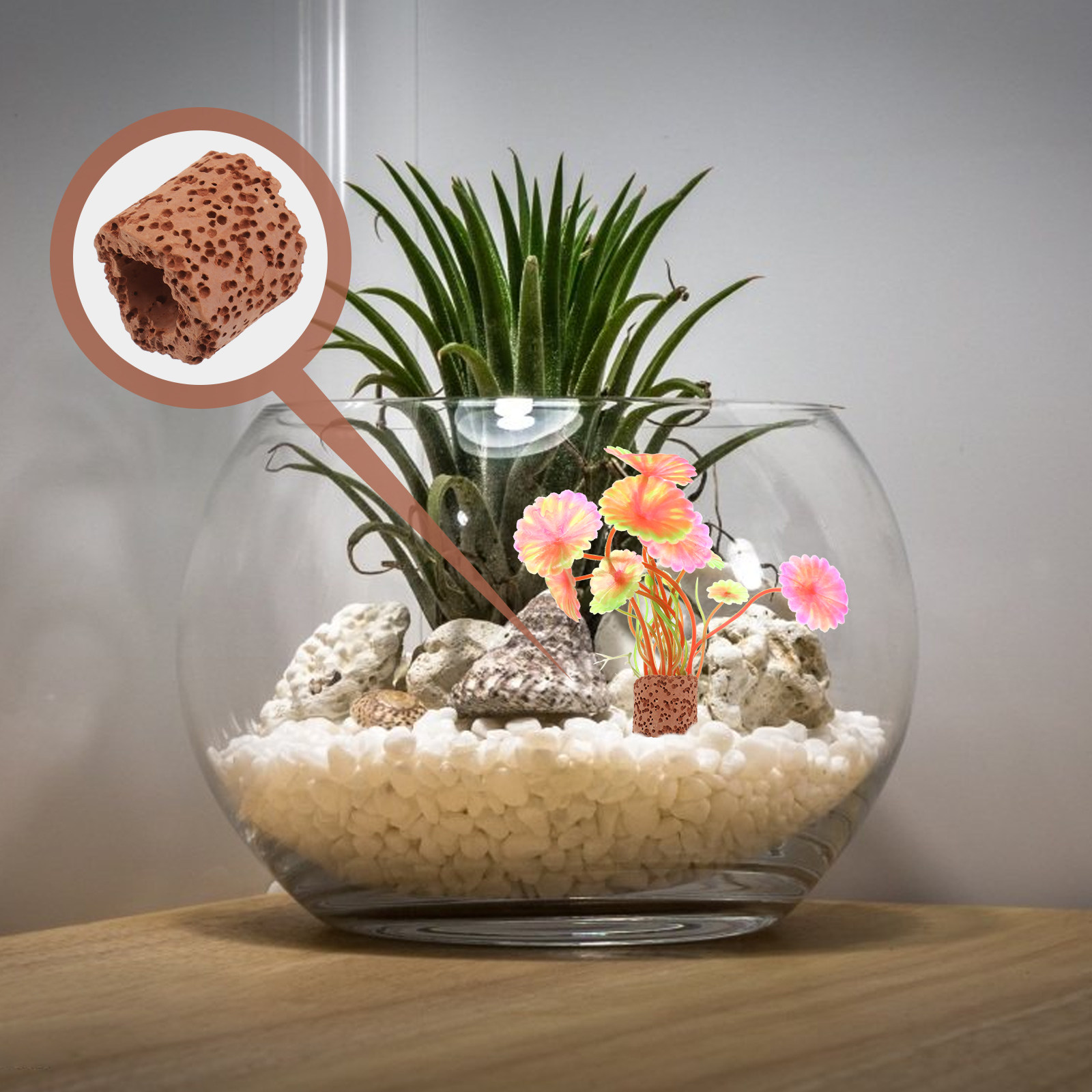 10Pcs Sturdy Water Plant Fixed - Planted Aquarium Materials recensione e prezzo