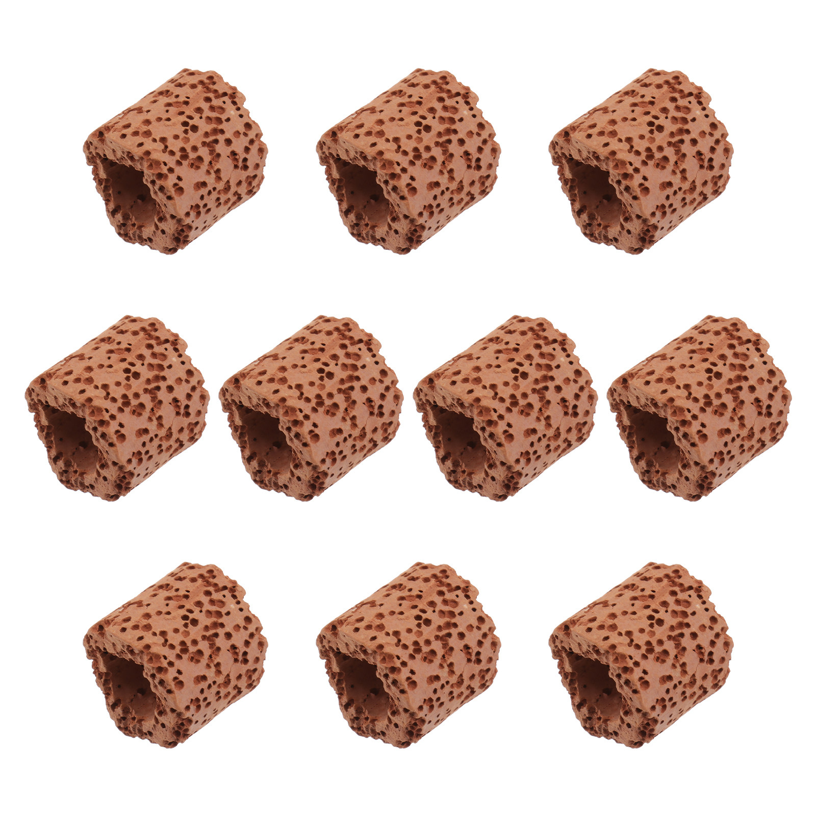 10Pcs Sturdy Water Plant Fixed - Planted Aquarium Materials recensione e prezzo