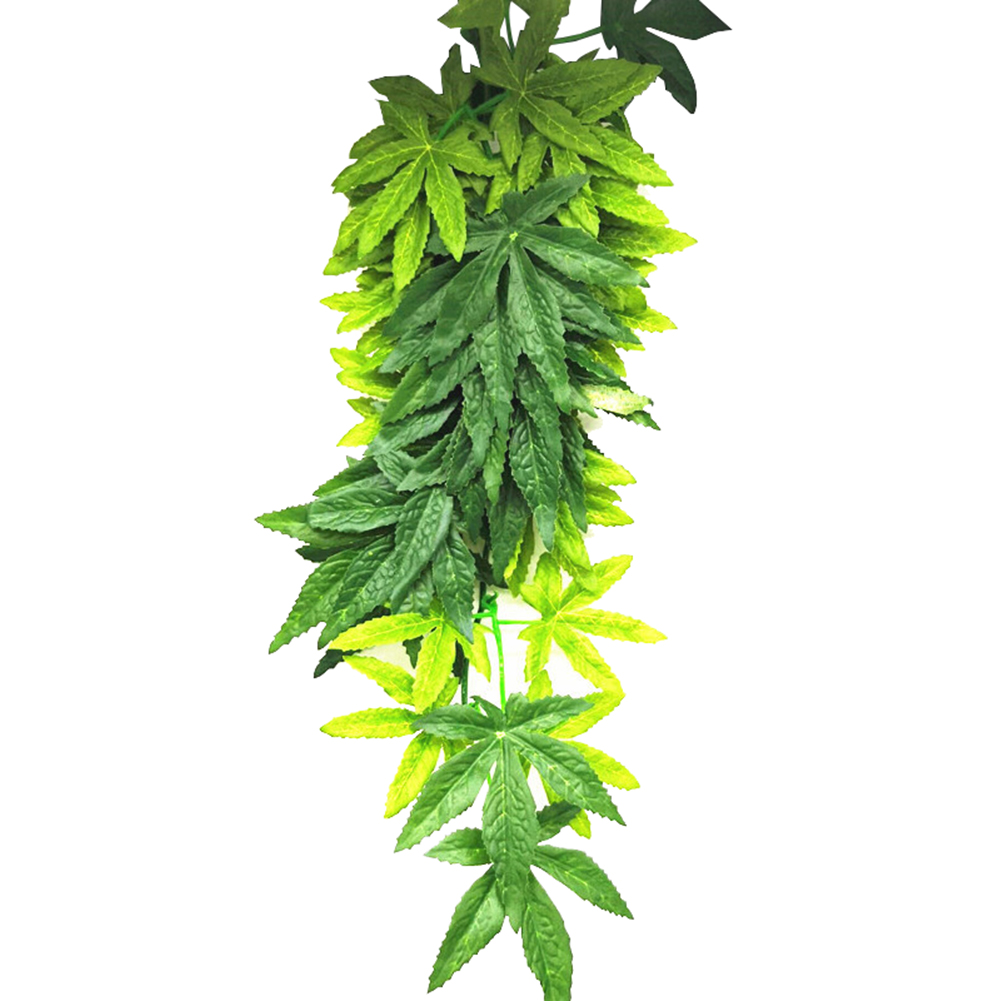 HOT SALE 30/40/50CM Aquarium R - Planted Aquarium For Sale recensione e prezzo