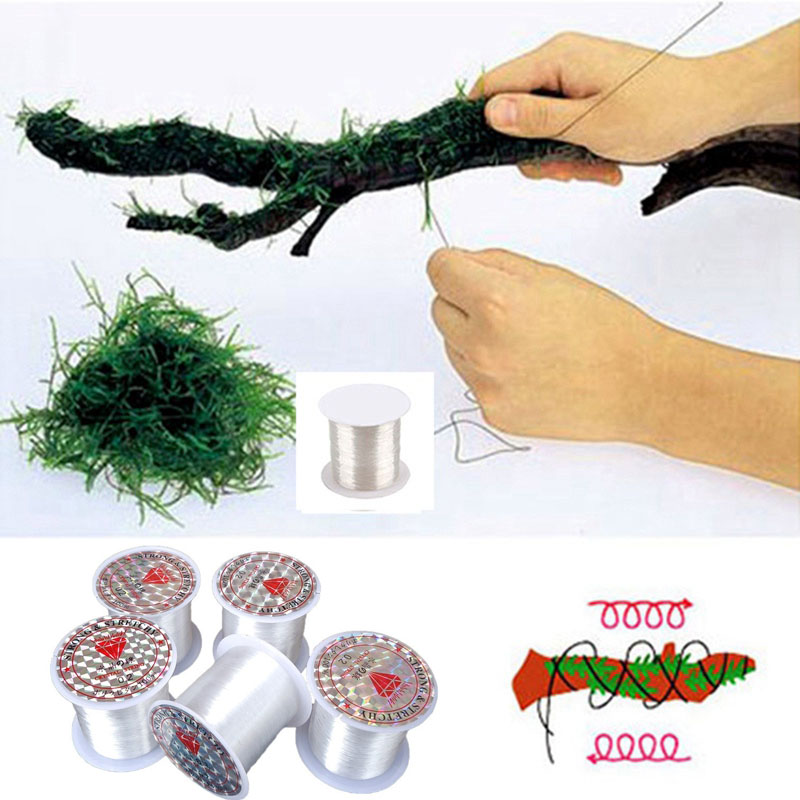 120M DIY Moss Line Binding Lin - Aquarium Plant Echinodorus recensione e prezzo