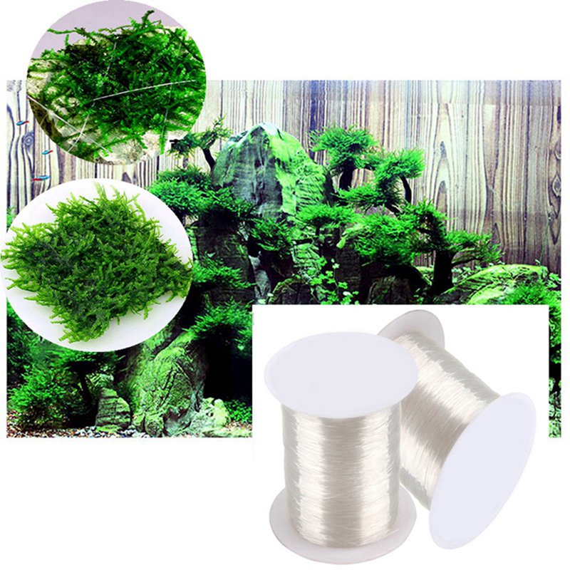 120M DIY Moss Line Binding Lin - Aquarium Plant Echinodorus recensione e prezzo