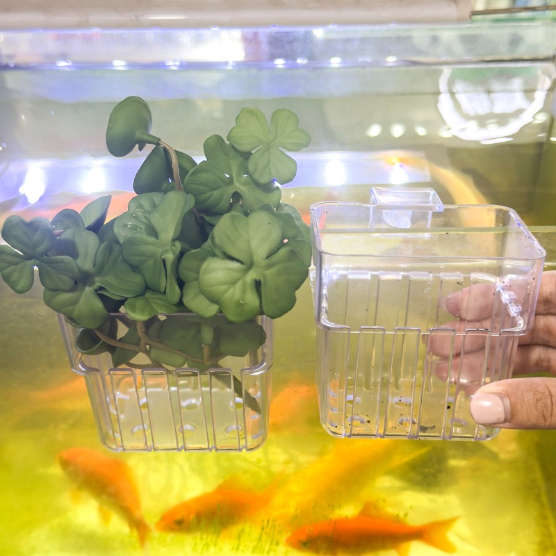 1/5pcs Aquarium Decoration Pla - Aquarium Plant Original recensione e prezzo