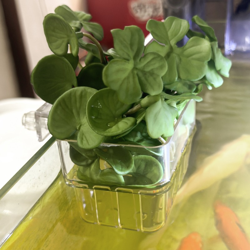 1/5pcs Aquarium Decoration Pla - Aquarium Plant Original recensione e prezzo