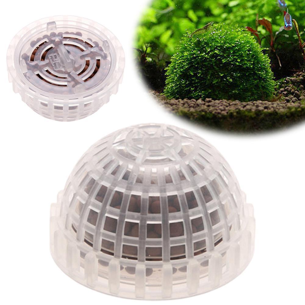 1pc Aquatic Pet Supplies Decor - Aquarium Plant Echinodorus recensione e prezzo