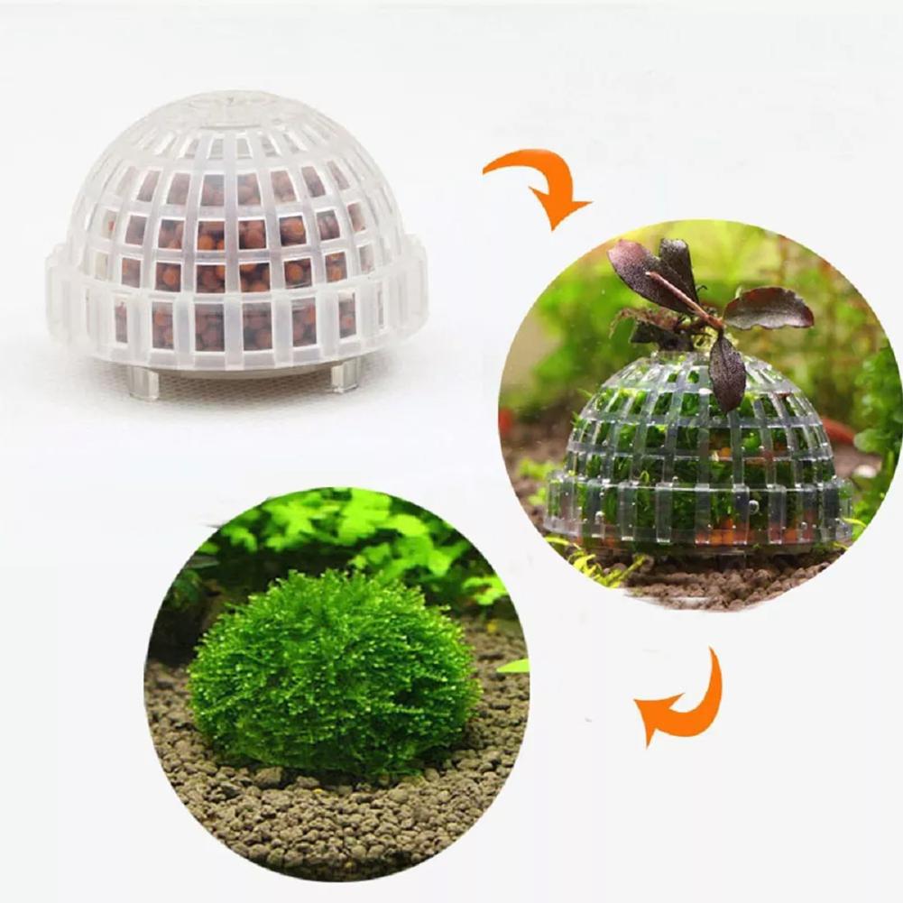 1pc Aquatic Pet Supplies Decor - Aquarium Plant Echinodorus recensione e prezzo