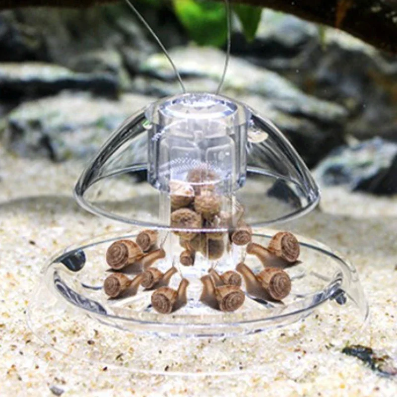 1PCS Fish Tank Aquarium Cleane - Aquarium Plant Utensils recensione e prezzo