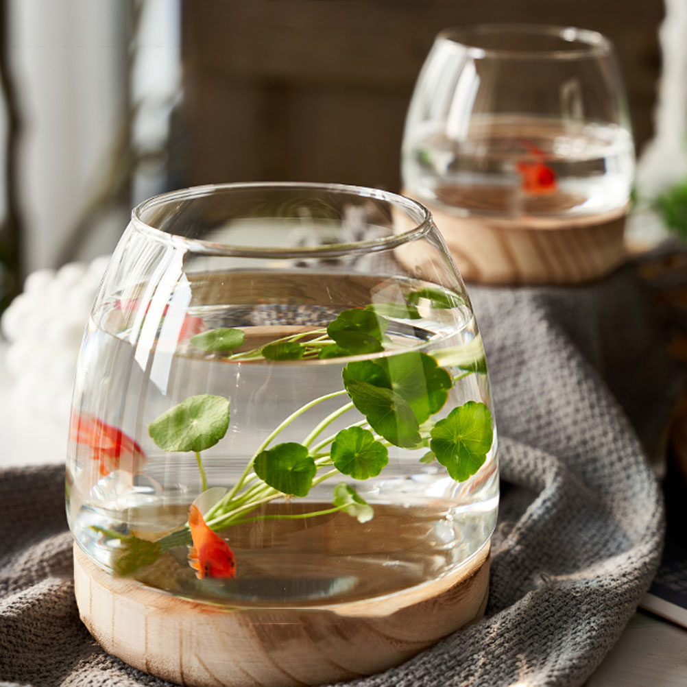 1Set Wooden Base Glass Hydropo - Aquarium Plant Original recensione e prezzo