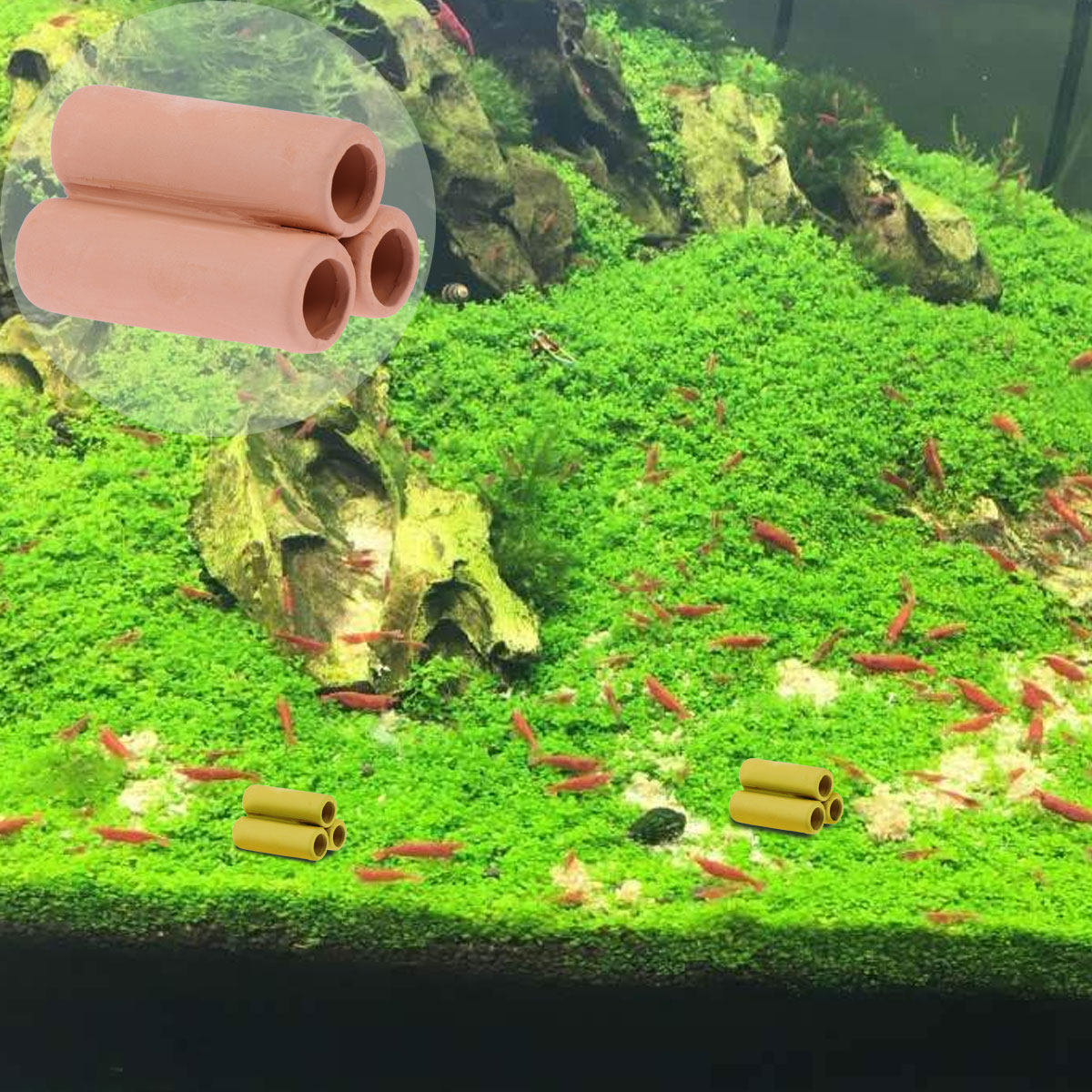 Ceramic Moss Tube Mineral Tube - Planted Aquarium Materials recensione e prezzo