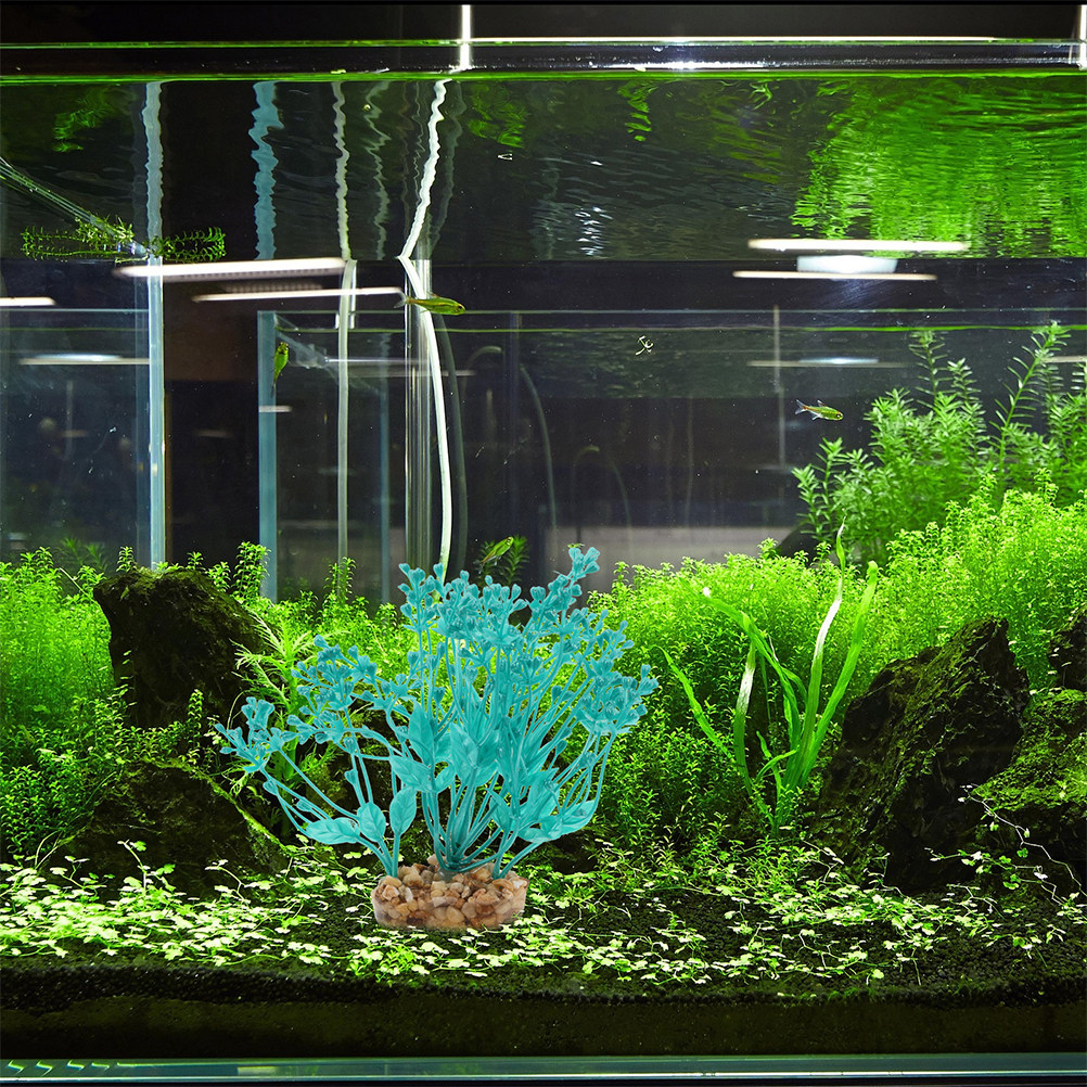 2Pcs Realistic Plastic Aquariu - Planted Aquarium Betta recensione e prezzo