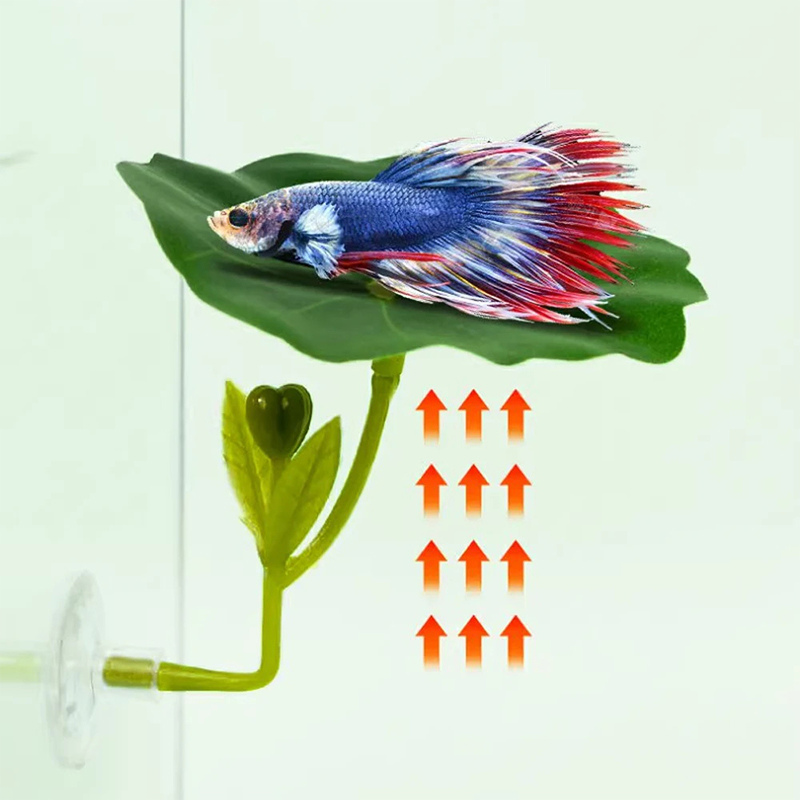 1 Pc For Betta Fish Stress-Red - Planted Aquarium Betta recensione e prezzo